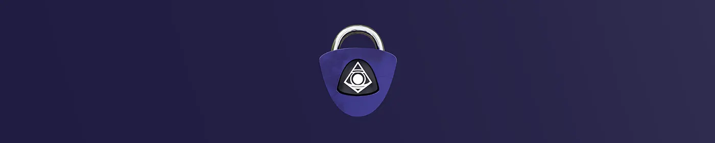 Presets.com Example Image