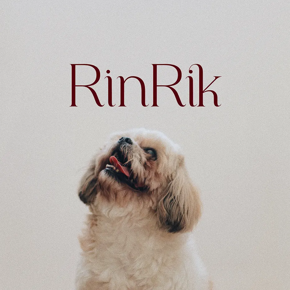 Presets.com Example Image